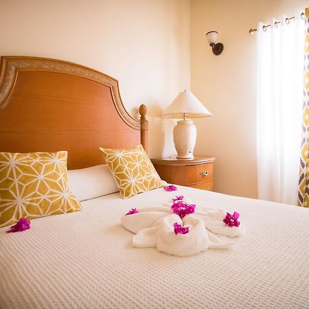 St. John's Connie'S Comfort Suites מראה חיצוני תמונה