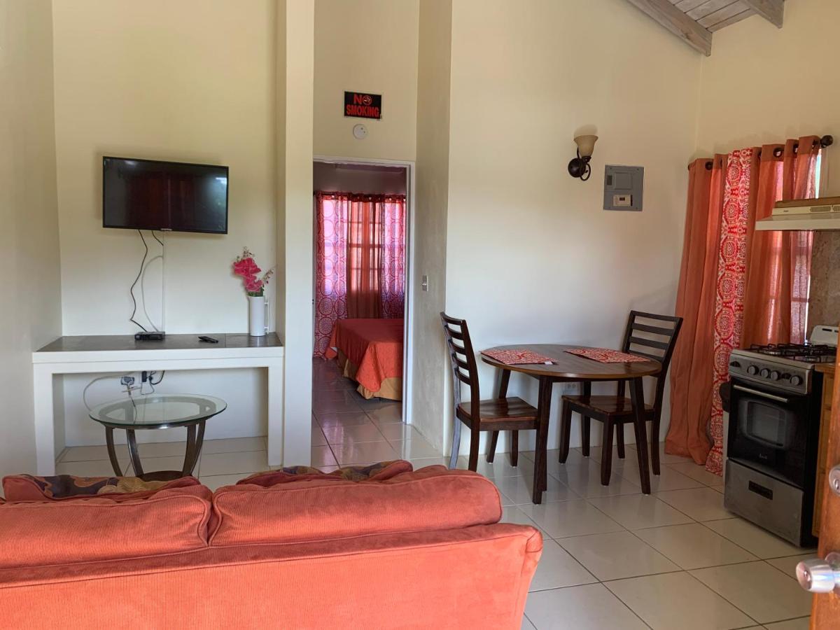St. John's Connie'S Comfort Suites מראה חיצוני תמונה