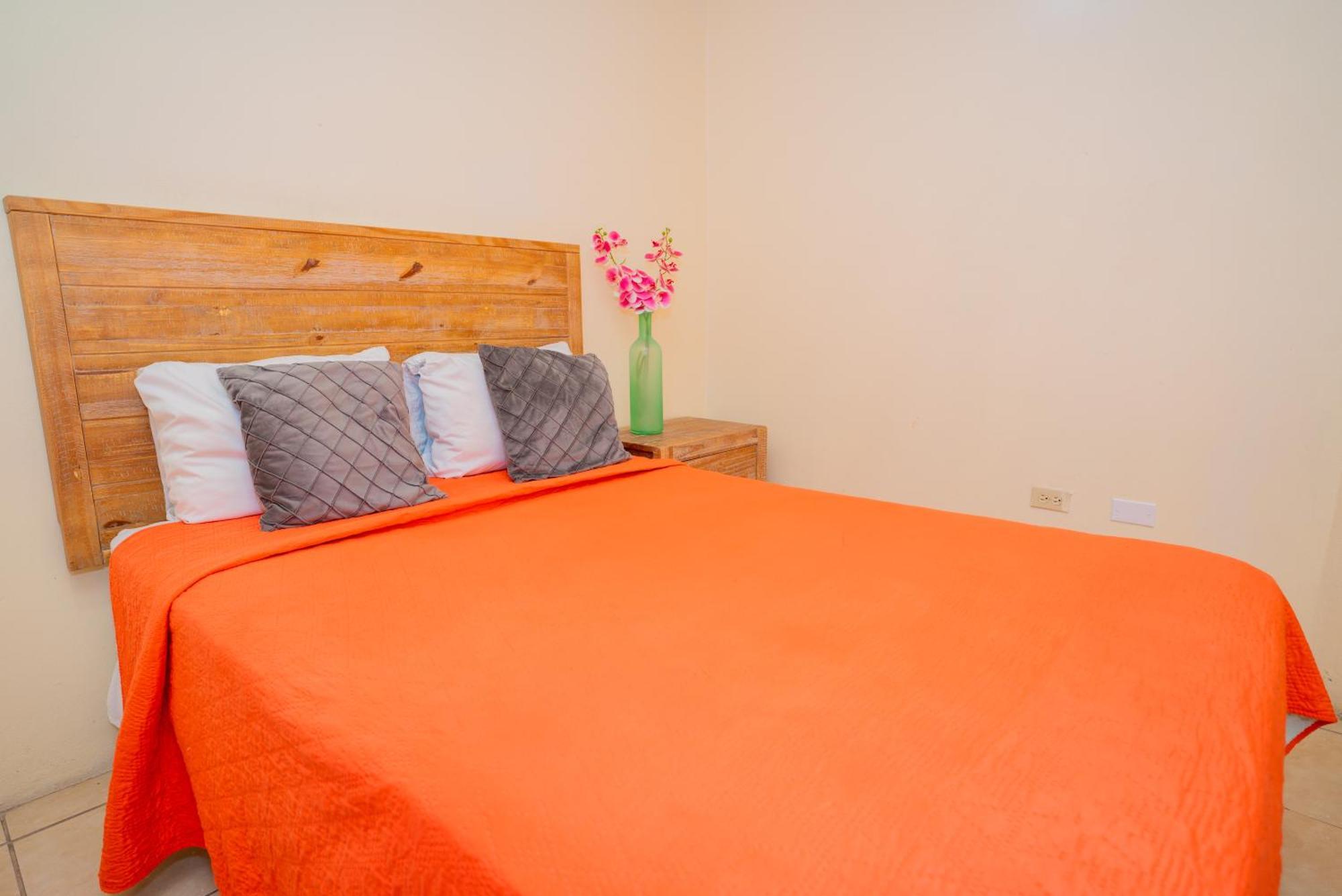 St. John's Connie'S Comfort Suites מראה חיצוני תמונה