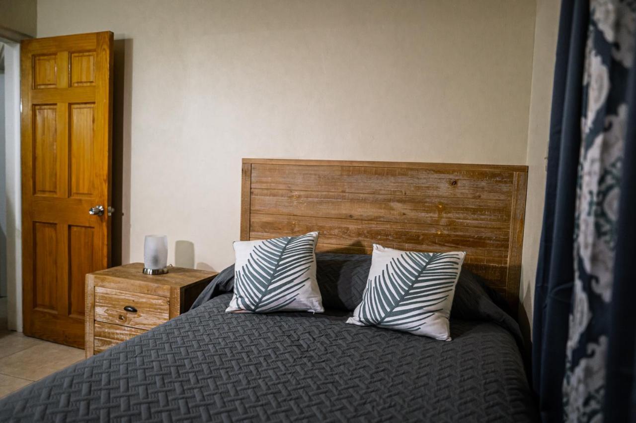 St. John's Connie'S Comfort Suites מראה חיצוני תמונה