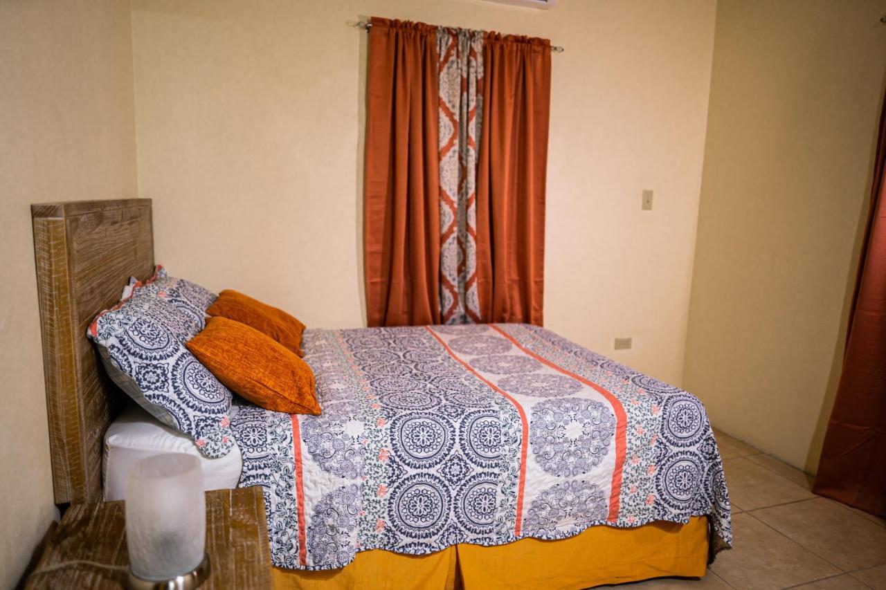 St. John's Connie'S Comfort Suites מראה חיצוני תמונה