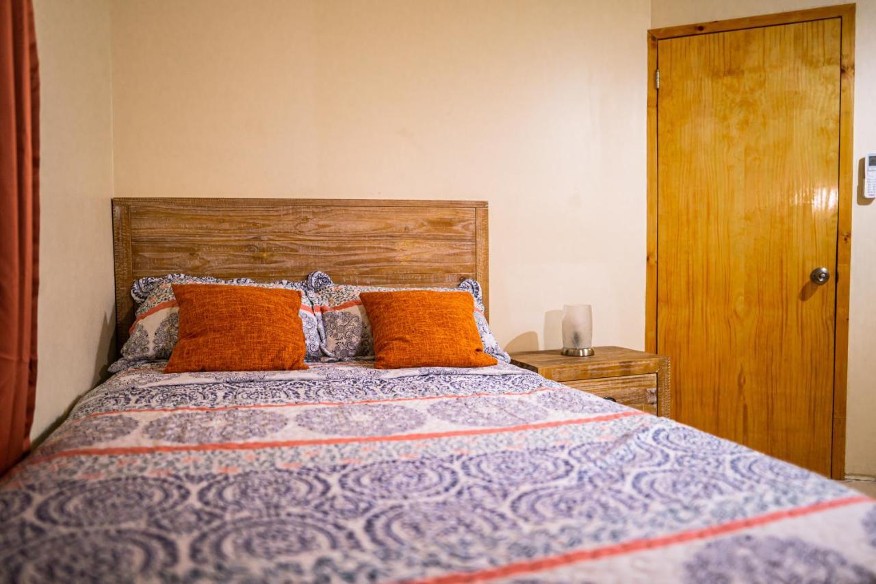 St. John's Connie'S Comfort Suites מראה חיצוני תמונה