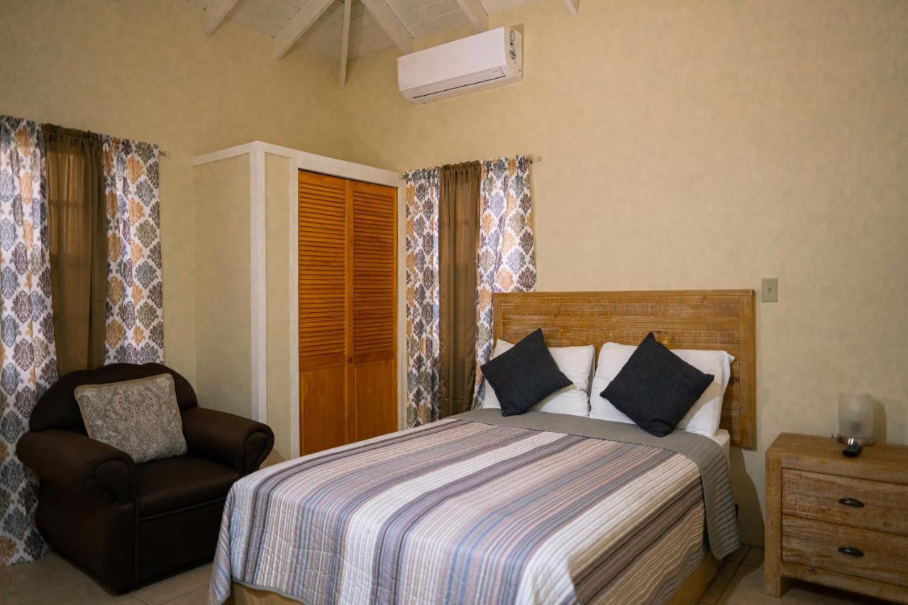 St. John's Connie'S Comfort Suites מראה חיצוני תמונה